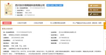 成都协尔得网络科技公司 专注于网络技术开发的创新企业